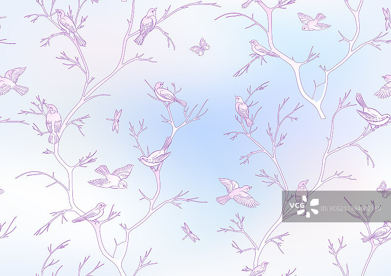 麻雀栖息在天空背景下的树枝上图片素材