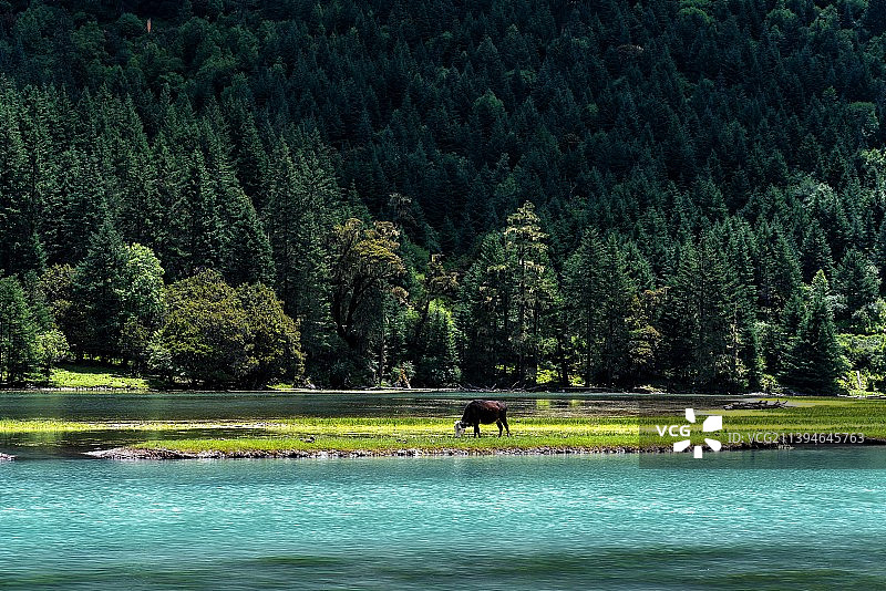 康定月亮湖图片素材