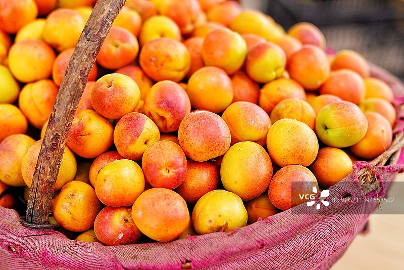 新疆小红杏阿克苏 伊犁吊干杏 新鲜水果采摘特写图片素材
