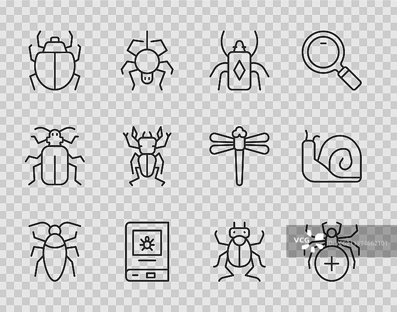 蟑螂、蜘蛛、甲虫和昆虫书图片素材