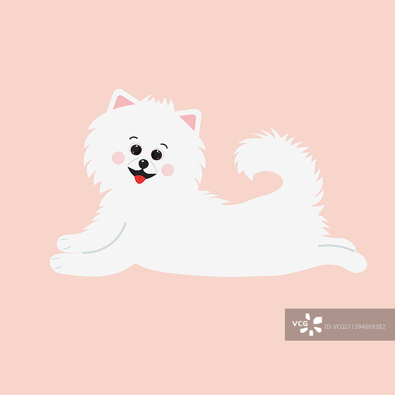 白色蓬松的博美犬可爱卡通形象图片素材