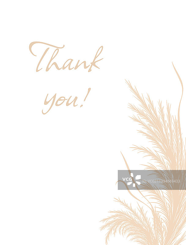 棕褐色蒲苇花卉边框设计图片素材