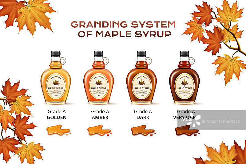 枫糖浆组合图片素材