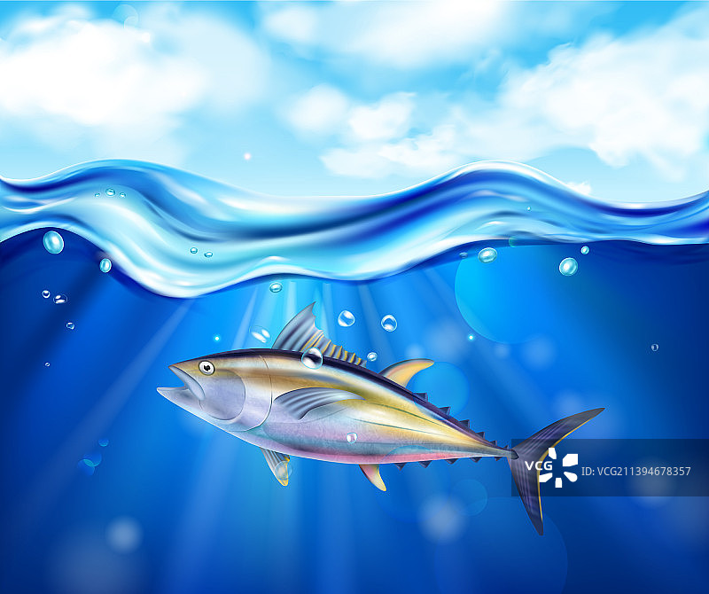 逼真金枪鱼海洋组合图片素材