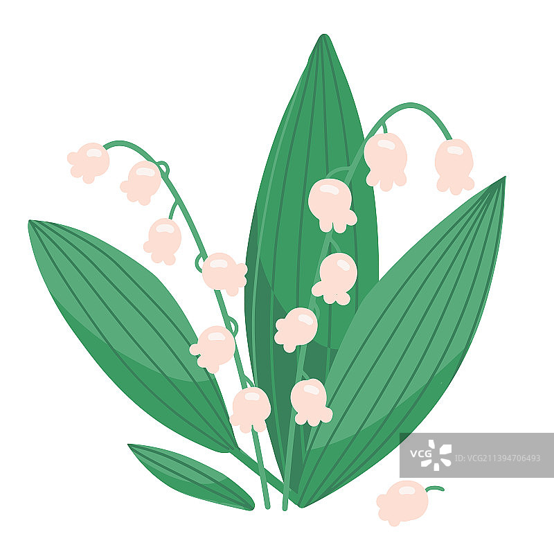 铃兰——独立单花扁平设计图片素材
