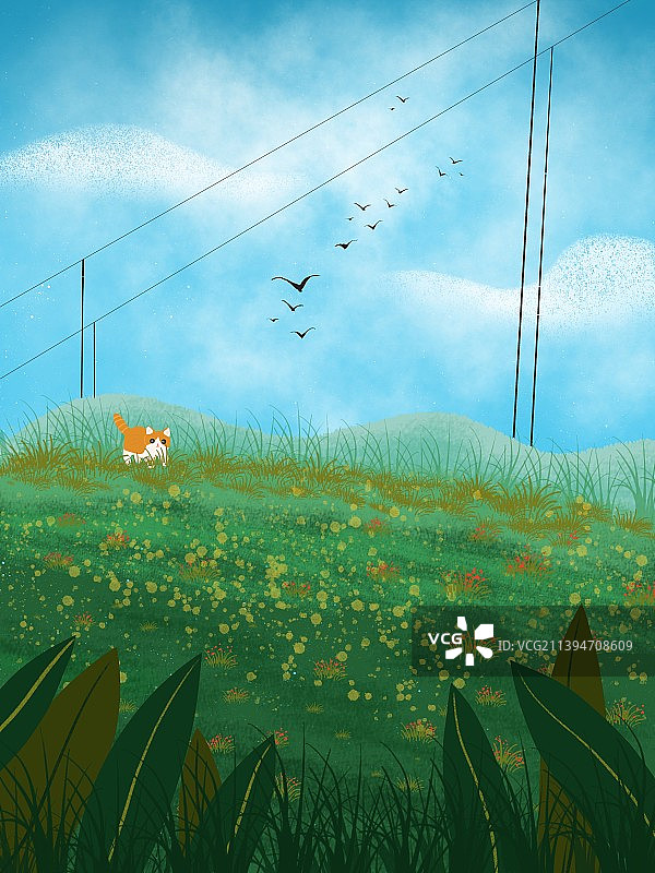 风景 户外 夏天 春天图片素材