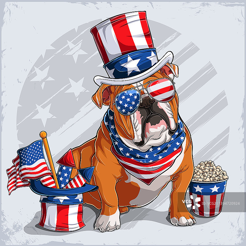 穿着7月4日服装的英国斗牛犬图片素材