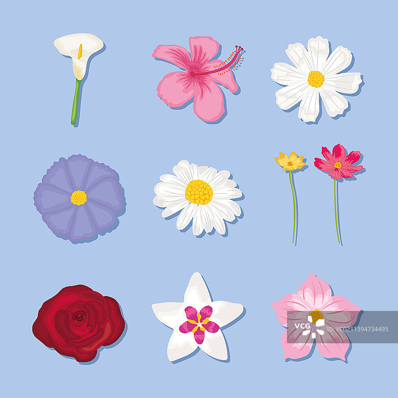 美丽的花朵图标集图片素材