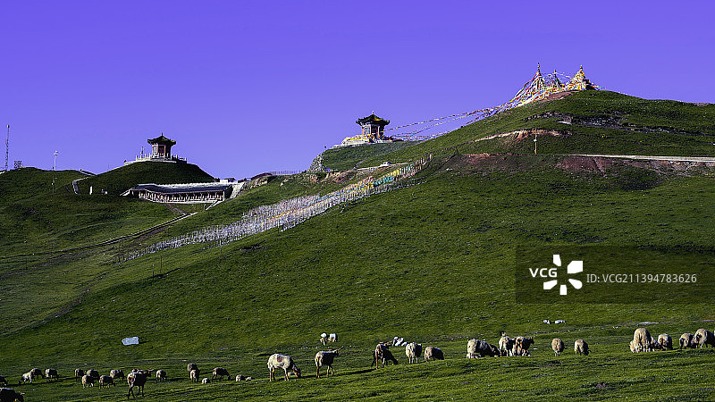 日月山下好牧场图片素材