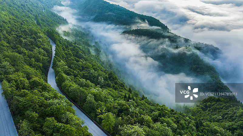 雾中的318国道齐岳山段图片素材