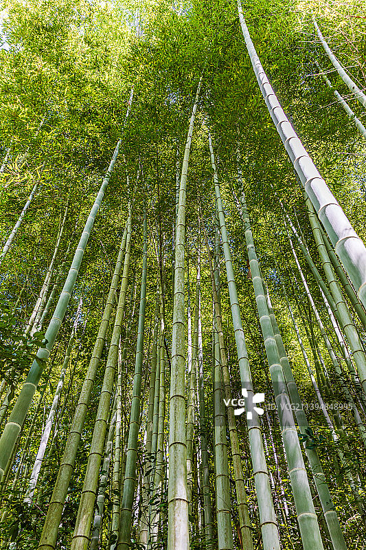 安徽六安金寨县燕子河大峡谷图片素材