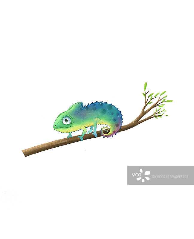 变色龙图片素材