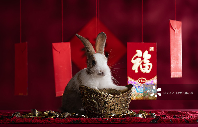 可爱的小兔子和红包图片素材