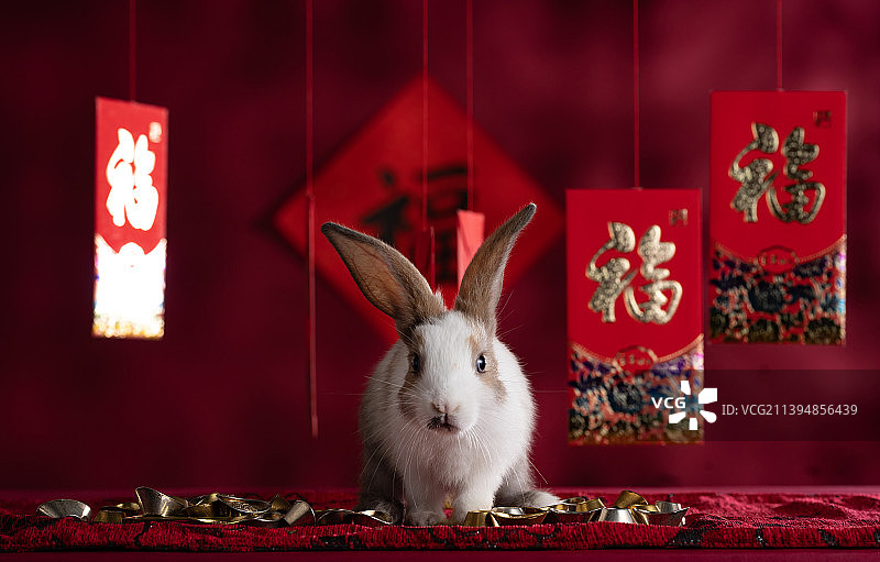可爱的小兔子和红包图片素材