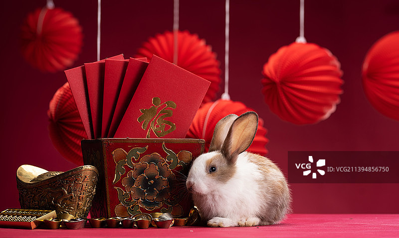 可爱的小兔子和新年静物图片素材