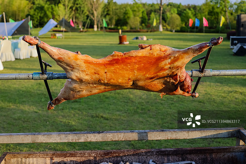 户外草坪烧烤全羊图片素材