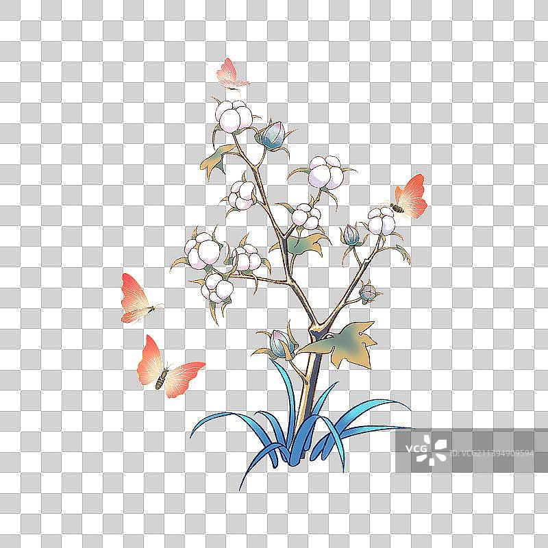 蝶恋花之生长的棉花图片素材