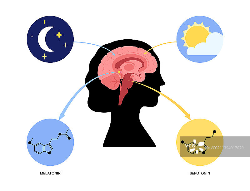 睡眠觉醒周期图片素材