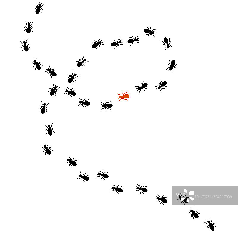 黑蚂蚁路踪剪影图片素材