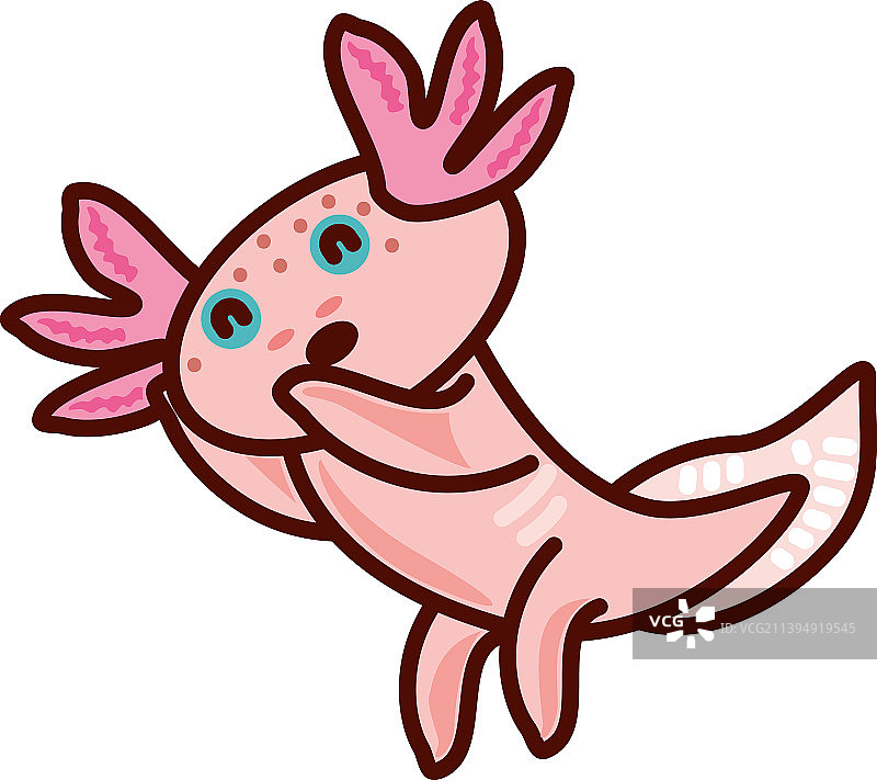 可爱的小墨西哥钝口螈图片素材