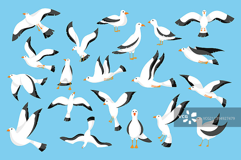 海鸥在港口天空飞翔图片素材