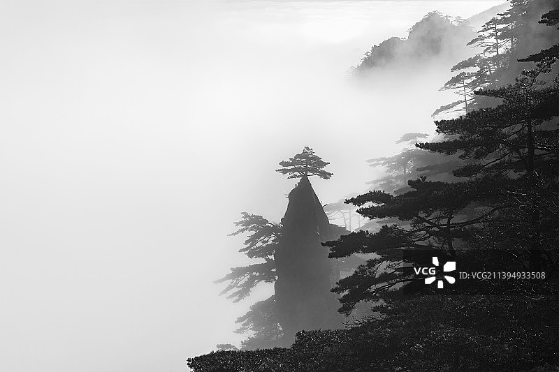 黄山云海中的梦笔生花图片素材