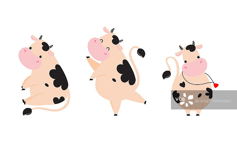 可爱的小牛犊坐着跳舞图片素材