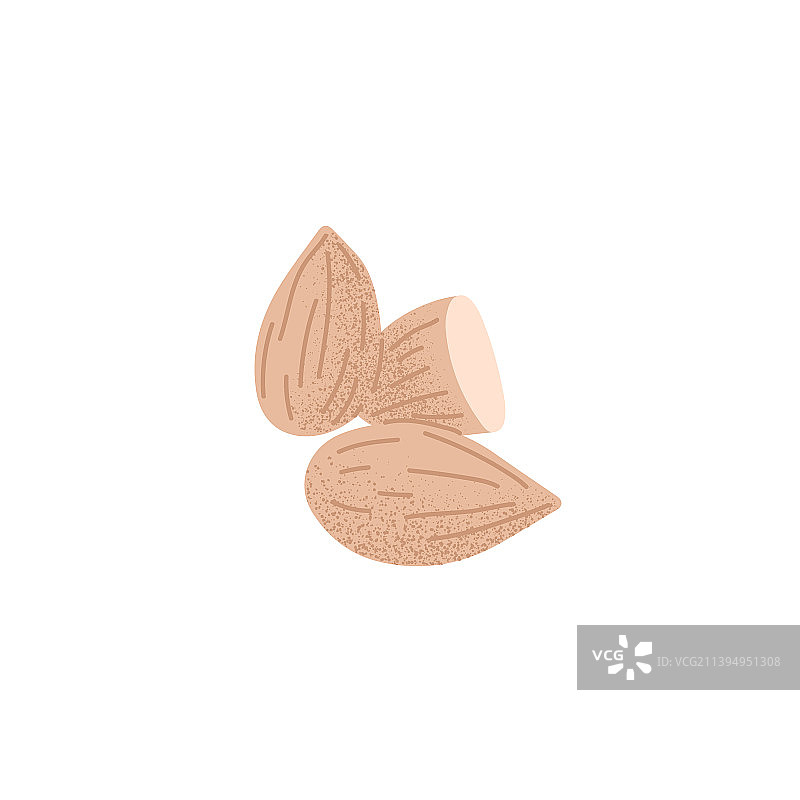 新鲜的杏仁果仁图片素材