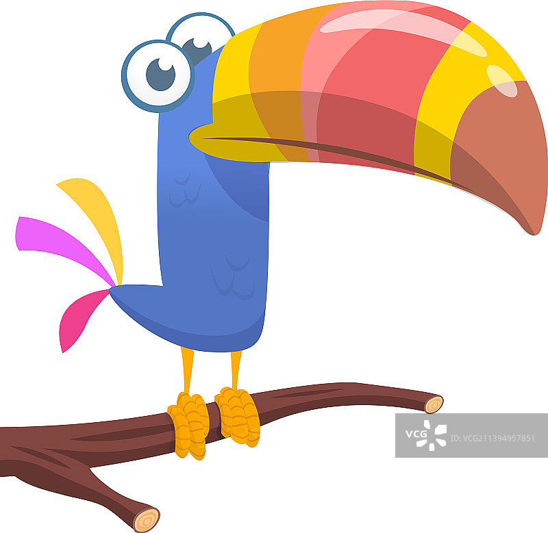 卡通巨嘴鸟，热带彩色鸟类图片素材