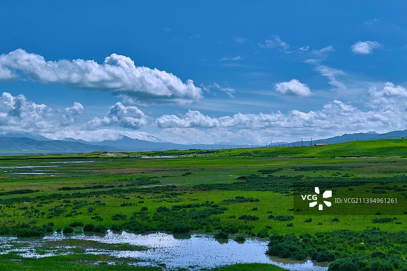 祁连山蓝天白云青绿草原，牛羊成群图片素材