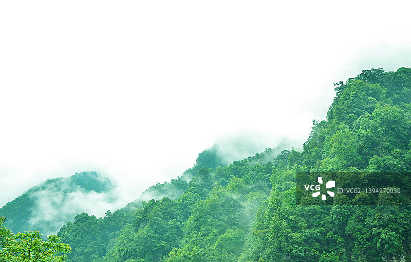 四川318国道二郎山森林雨雾风光图片素材