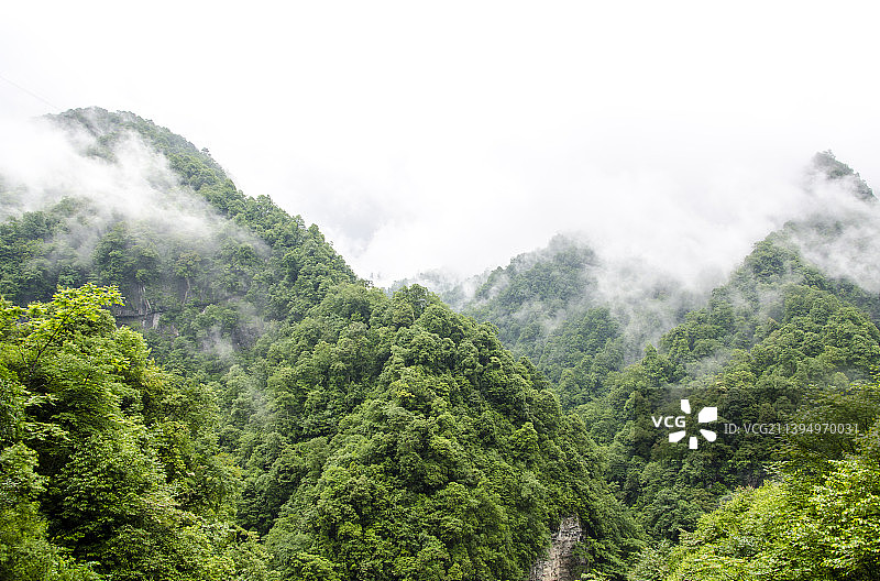四川318国道二郎山森林雨雾风光图片素材