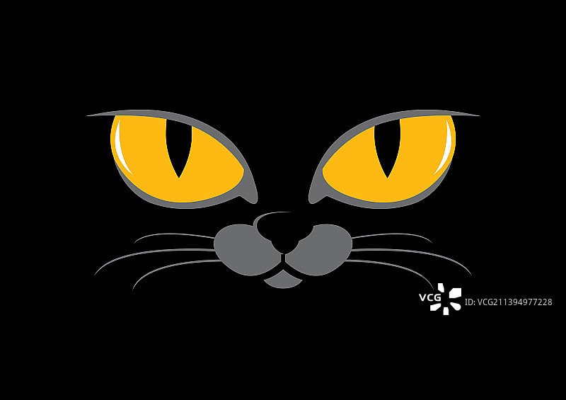 黑色背景下的黄色眼睛猫图片素材