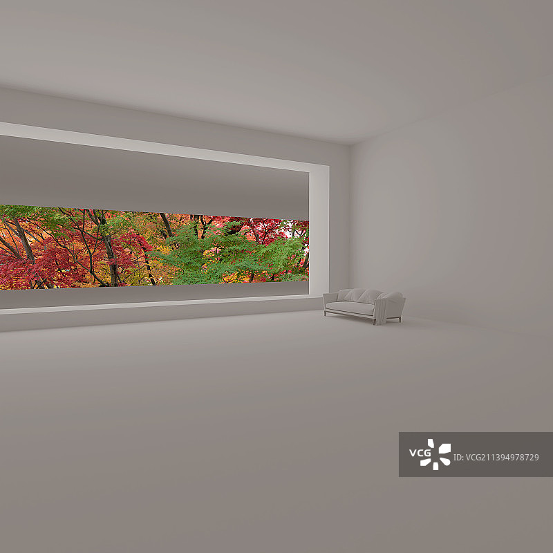 白色建筑内部外面是枫叶图片素材