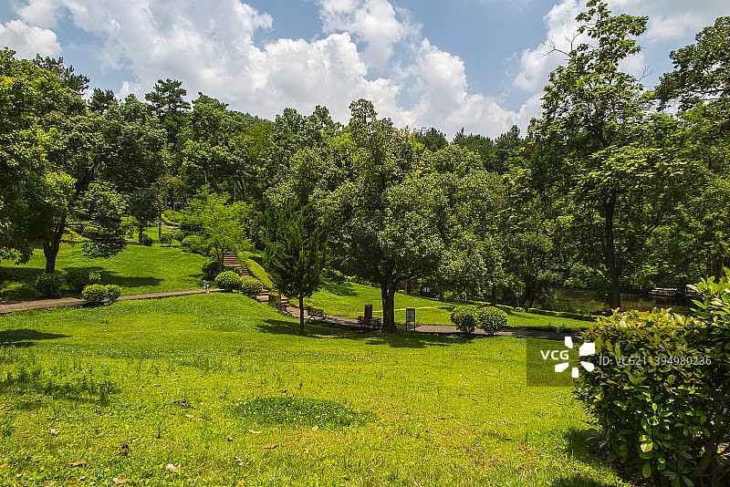 中国贵州贵阳市阿哈湖国家湿地公园、小车河湿地公园的夏日的阳光草坪、森林和天空图片素材