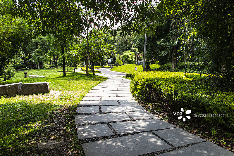 中国贵州贵阳市阿哈湖国家湿地公园、小车河湿地公园的夏日的阳光草坪、森林和天空图片素材