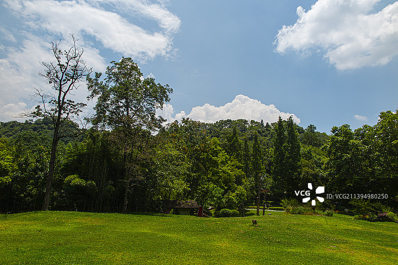 中国贵州贵阳市阿哈湖国家湿地公园、小车河湿地公园的夏日的阳光草坪、森林和天空图片素材