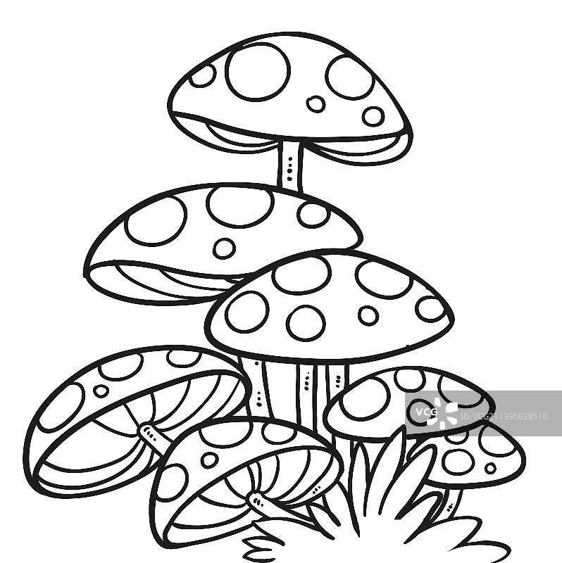 大型毒蝇伞菌丝线性图图片素材