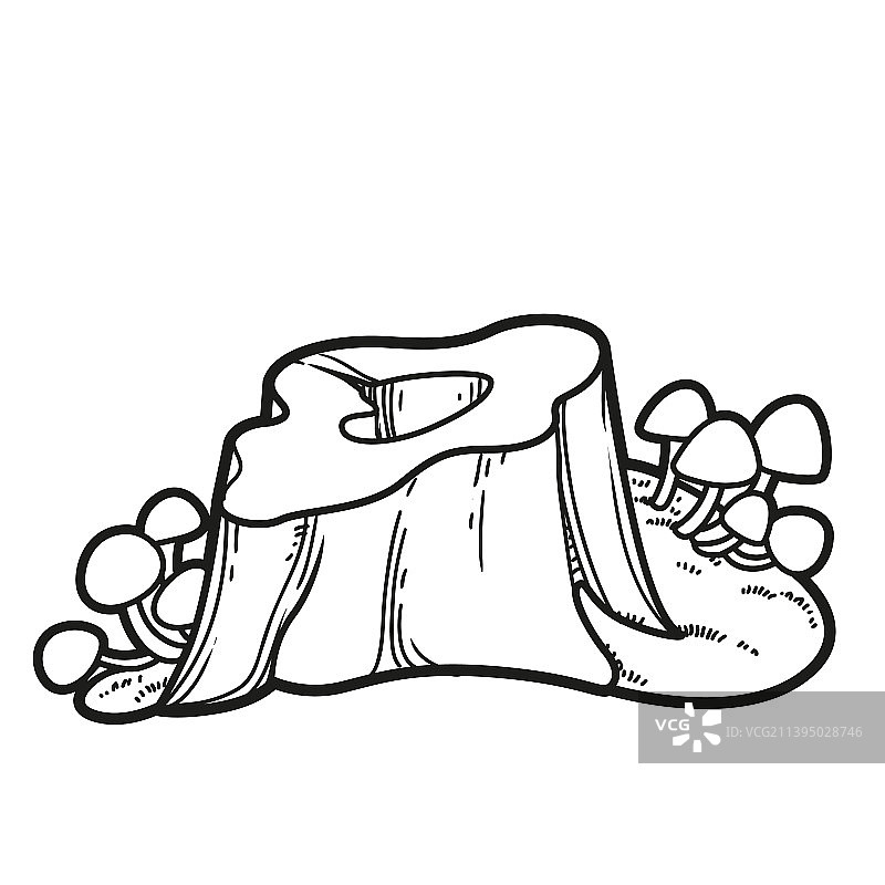 树桩内有苔藓的小洞图片素材