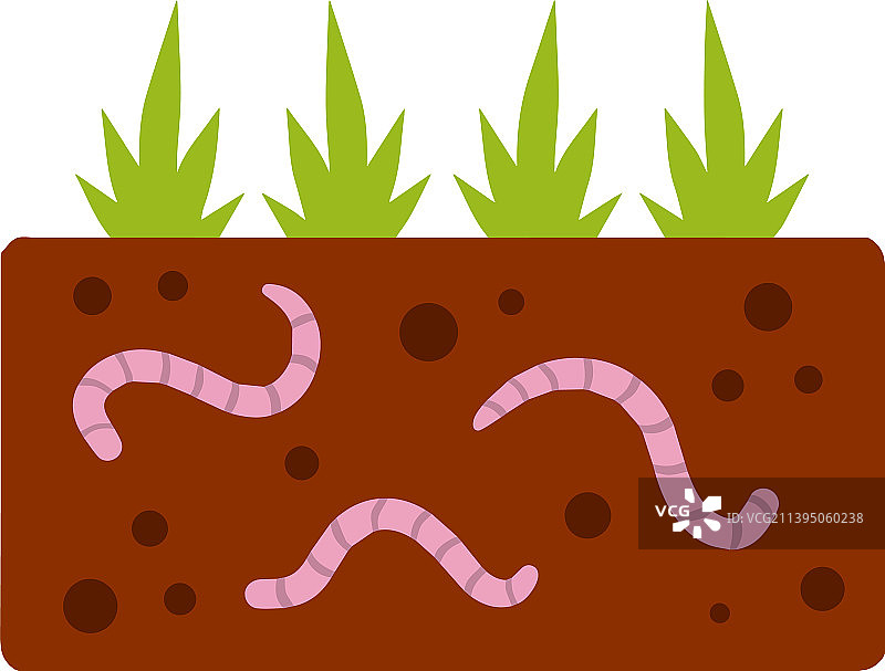 地下的蠕虫图片素材