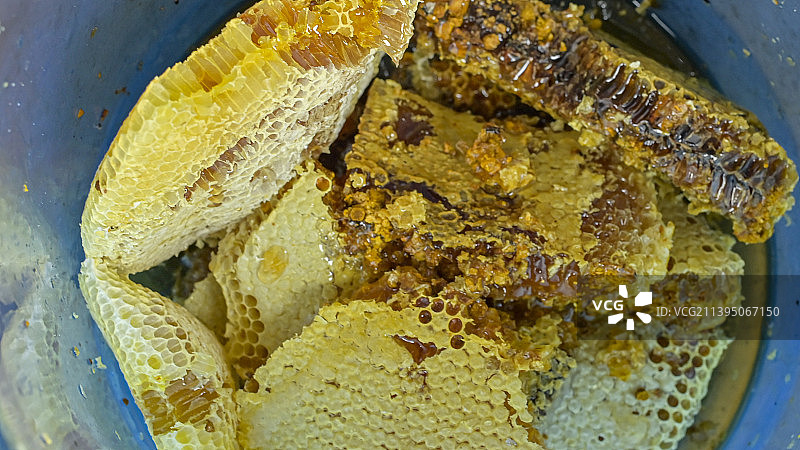 原生态土蜂蜜图片素材