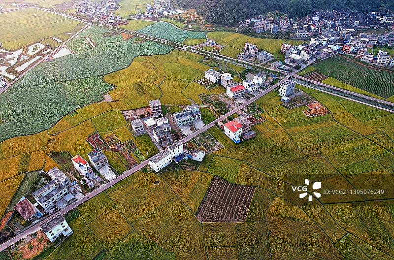 《乡村田园》图片素材