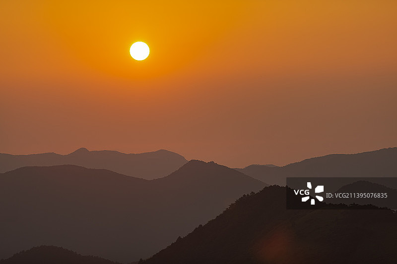 初升朝阳下的山脉与竹叶图片素材