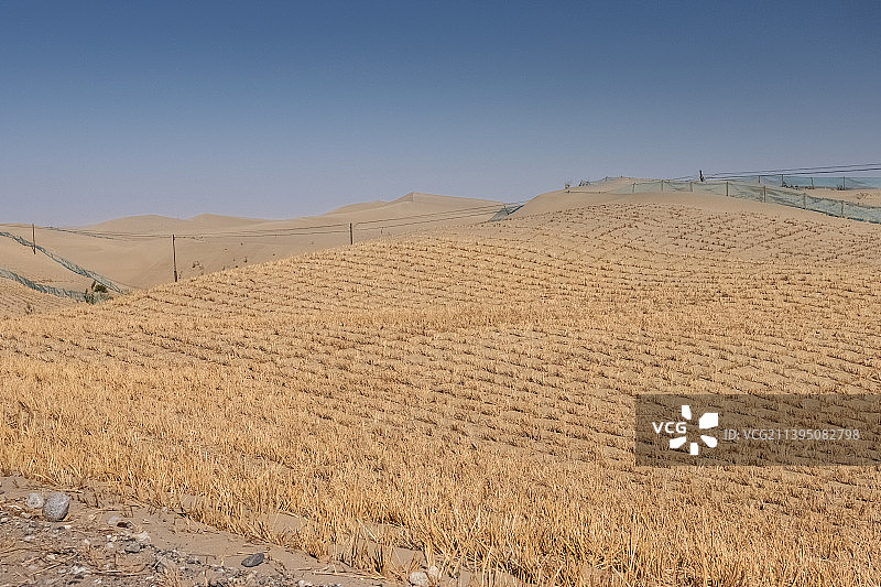 沙漠治理，固沙草方格图片素材