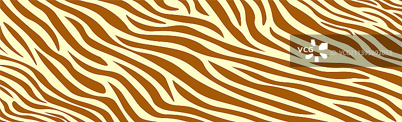 斑马纹理的混乱线条全景图片素材