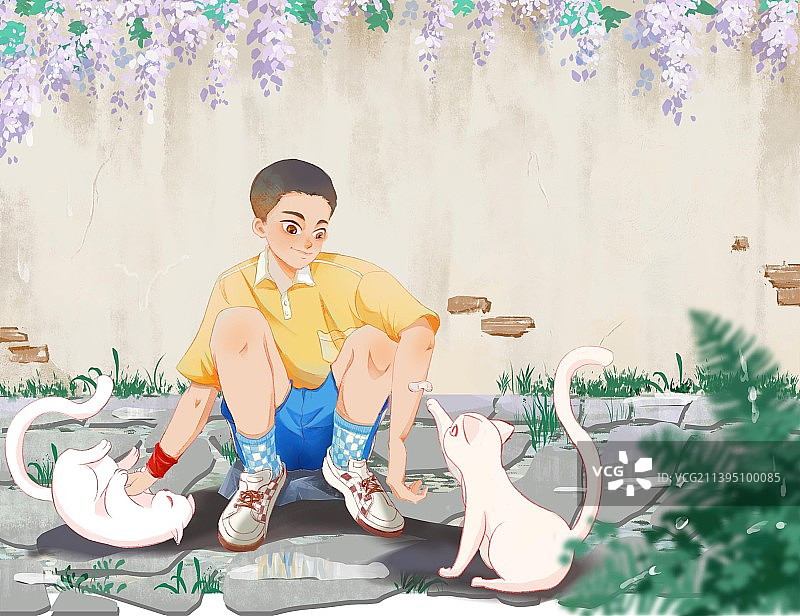 夏日少年与猫图片素材