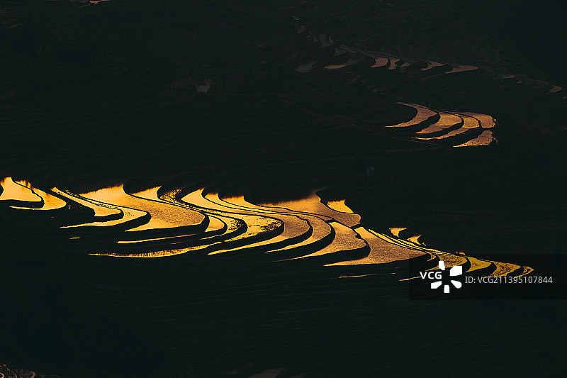 黑色背景夕阳下的金色梯田图片素材