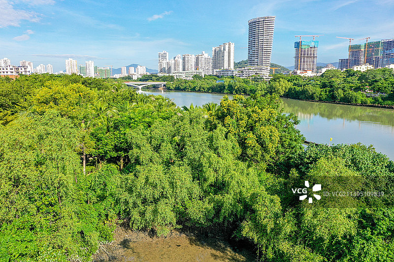 航拍海南三亚红树林公园 三亚河畔 三亚城市乐园图片素材