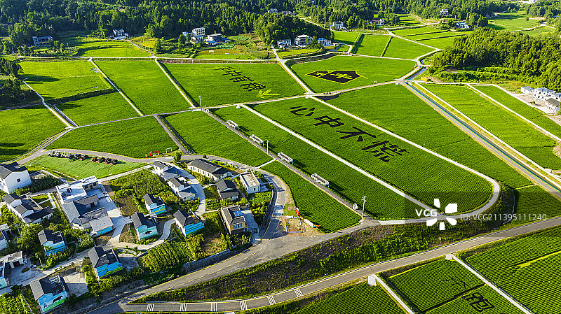 农业产业化基地图片素材