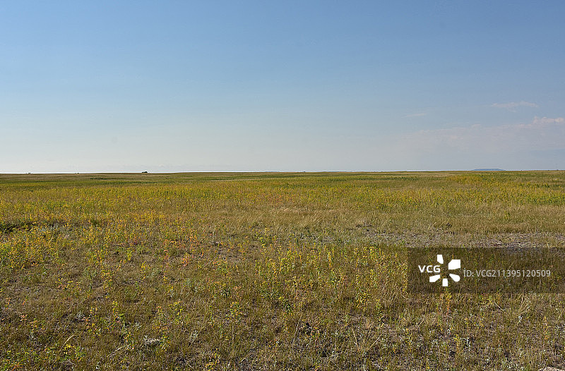 一望无际的乡村草原图片素材